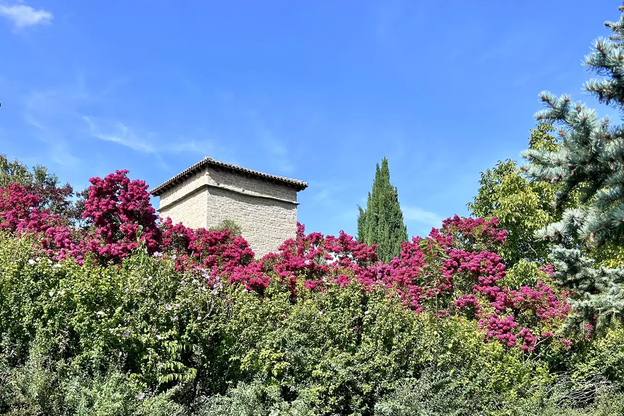 Zerbitzu Juridikoak eta Langileen Aholkularitza